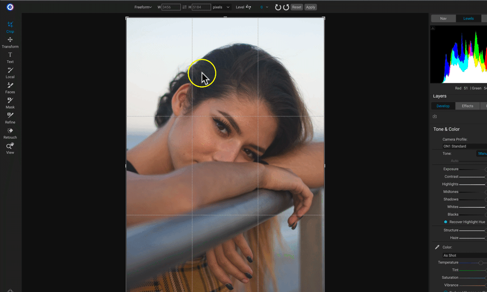 Cropping Tips for Photo Editing