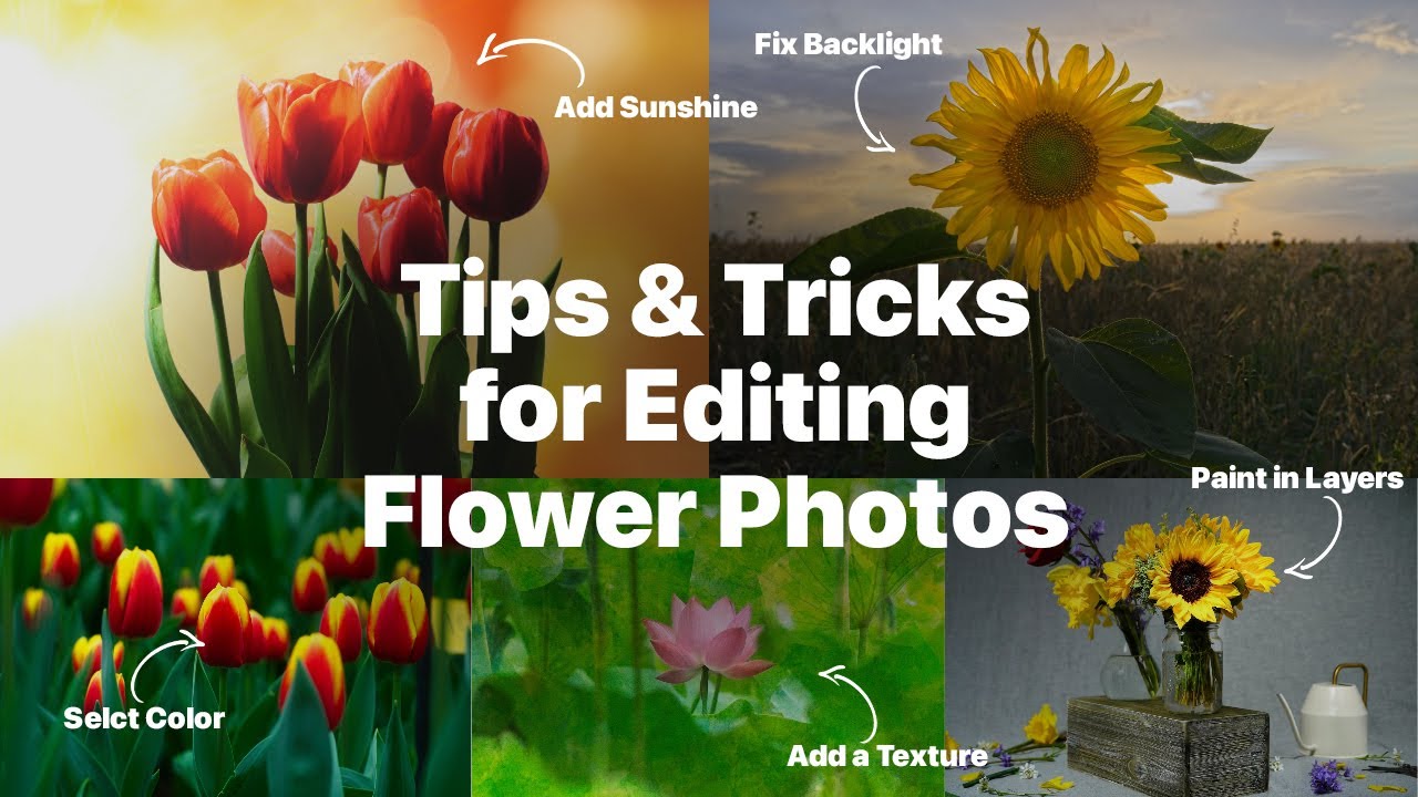 8 Expert Tips for Enhancing Flower Photography