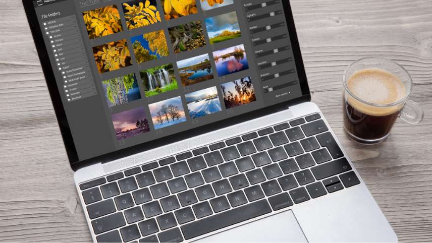 Best Photo Editing Software for Beginners