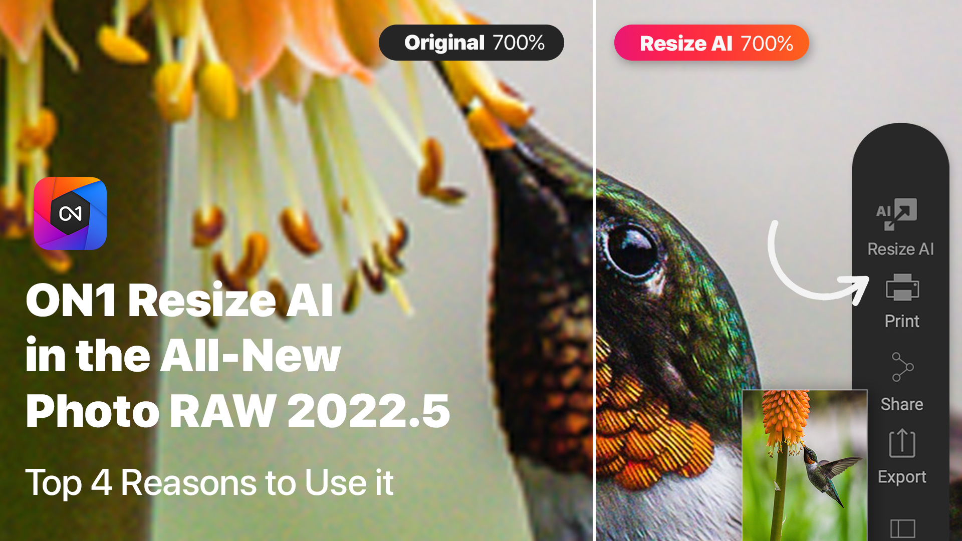 ON1 Resize AI in ON1 Photo RAW 2022.5