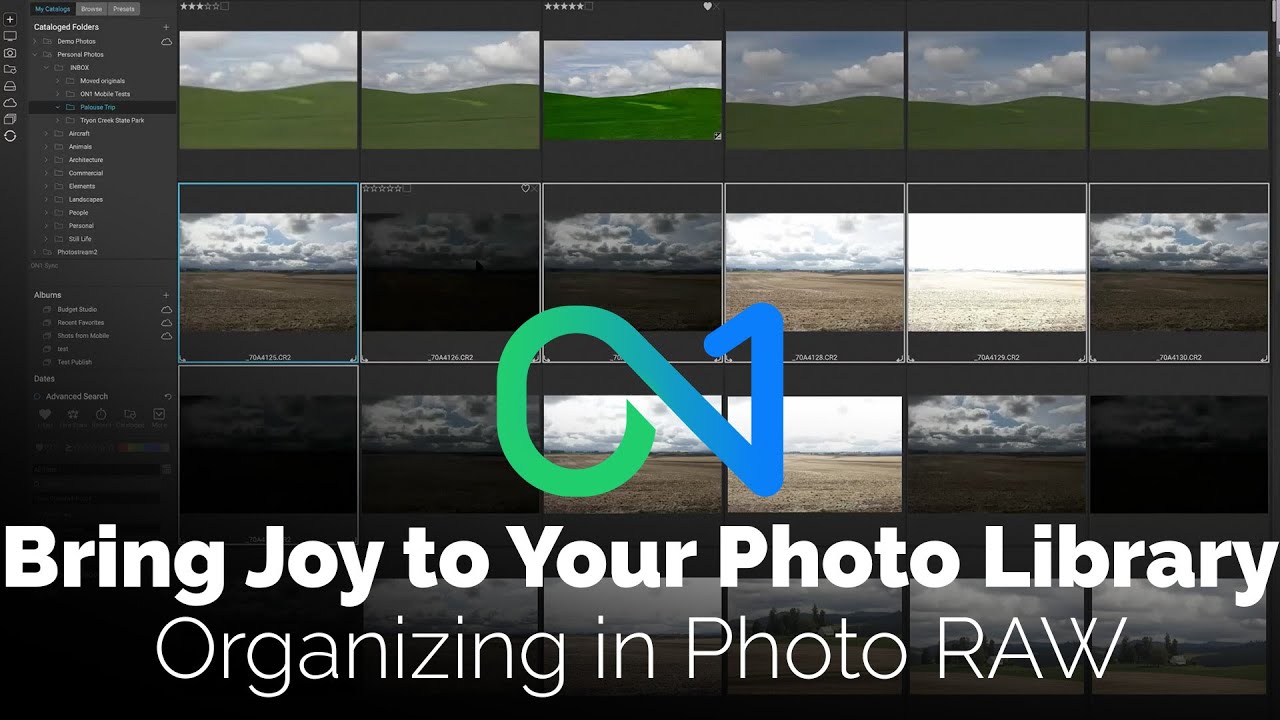 Bring Joy to Your Photos: Organizing in Photo RAW