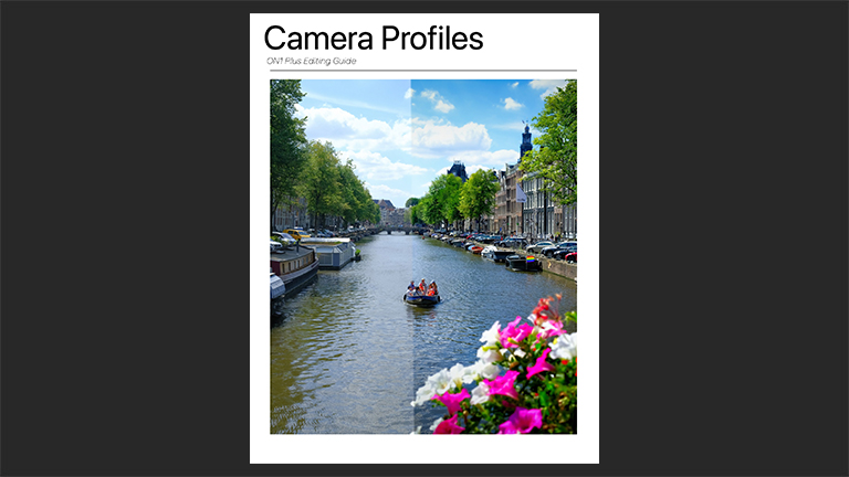 Camera Profiles Editing Guide