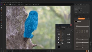 Capture and Edit Better Wildlife Images