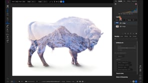 Commonly Used Blend Modes Part 1