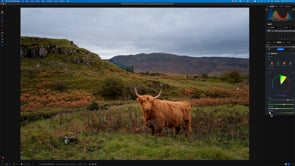 Cool New Tools in Photo RAW 2025