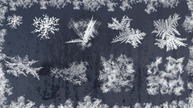 Winter Frost Brushes