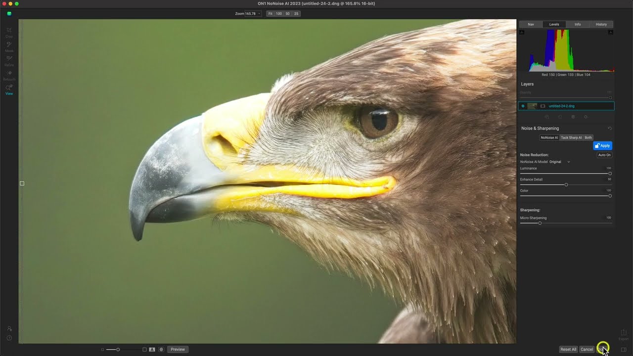 How to Get Amazing Noise Reduction in Lightroom