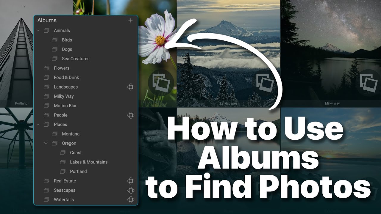 How to Use Albums to Instantly Find Your Photos