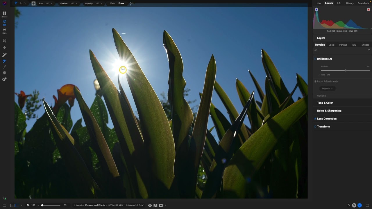 Navigating ON1 Photo RAW 2024: What’s New in the UI?