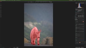 New Tools in Photo RAW 2023