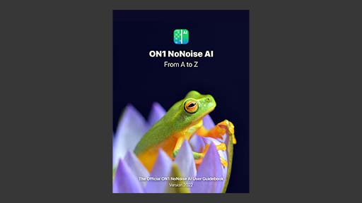 ON1 NoNoise AI 2022 User Guide