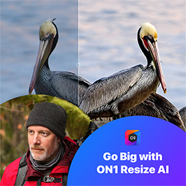 Go Big with ON1 Resize AI Course 