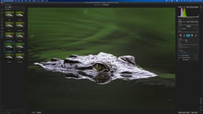 Photo RAW 2022.5 Features & Enhancements