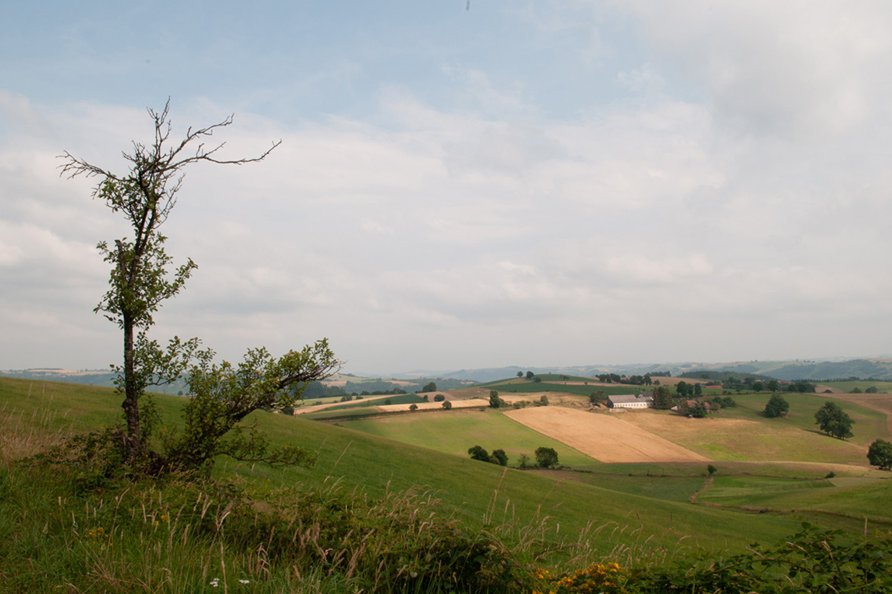 Spring Landscape - Before