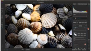 Summertime Photo Editing Webinar