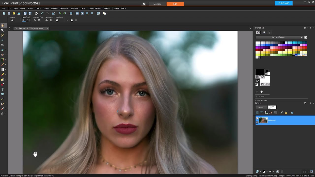 Using ON1 Portrait AI as a Corel Plug-In