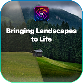 Bringing Landscapes to Life Course 